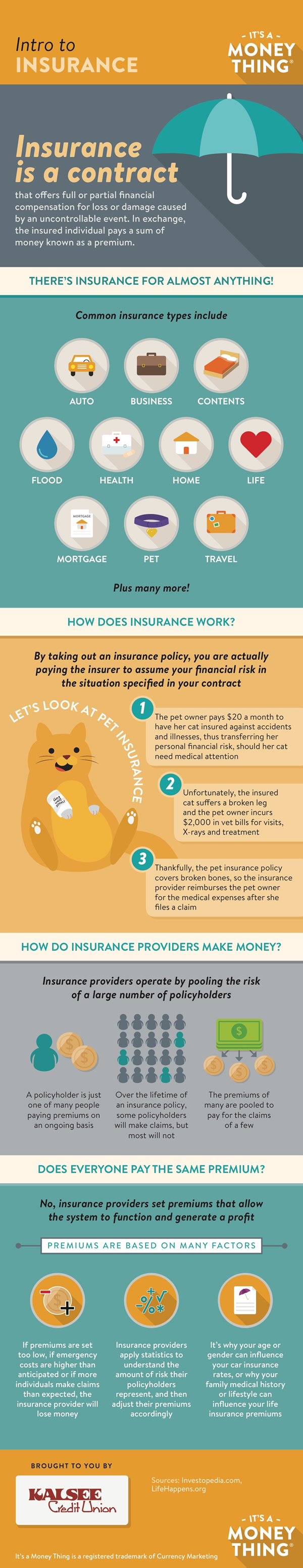 Intro to Insurance infographic, click for transcription