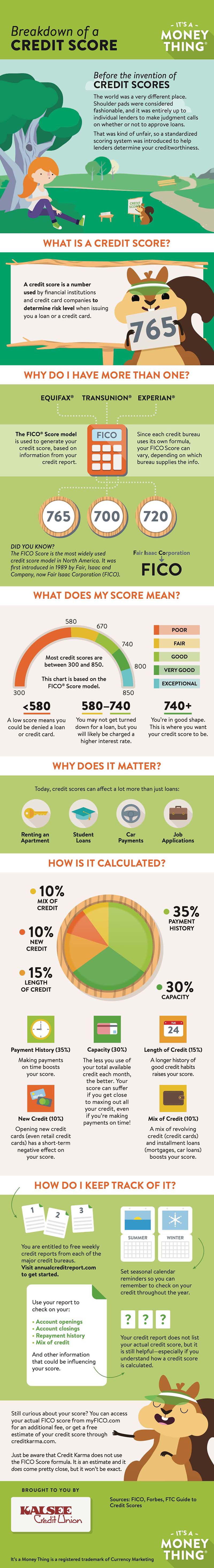 Breakdown of a Credit Score Infographic