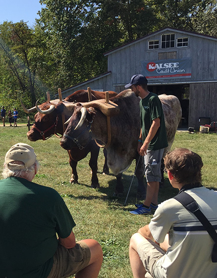 Tillers International Harvest Fest sponsor