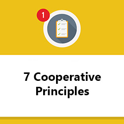 7 Cooperative Principles